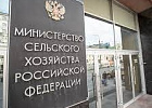Минсельхоз стал лучшим по качеству совершенствования разрешительной деятельности за II квартал 2024 года